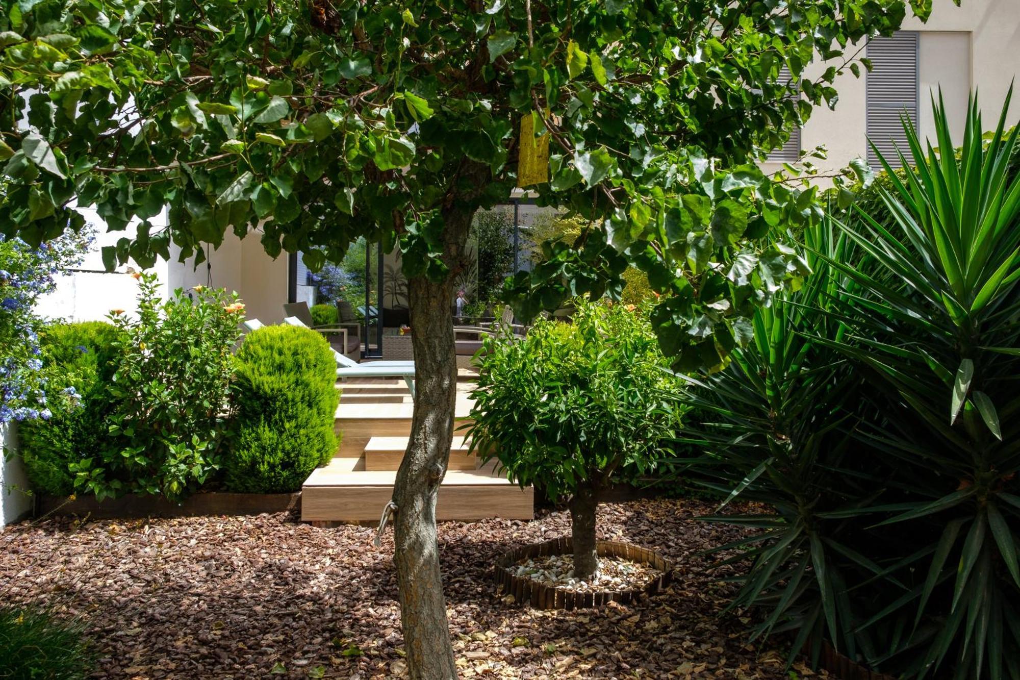Pretty House Sa Font In Santa Catalina Palma City Εξωτερικό φωτογραφία