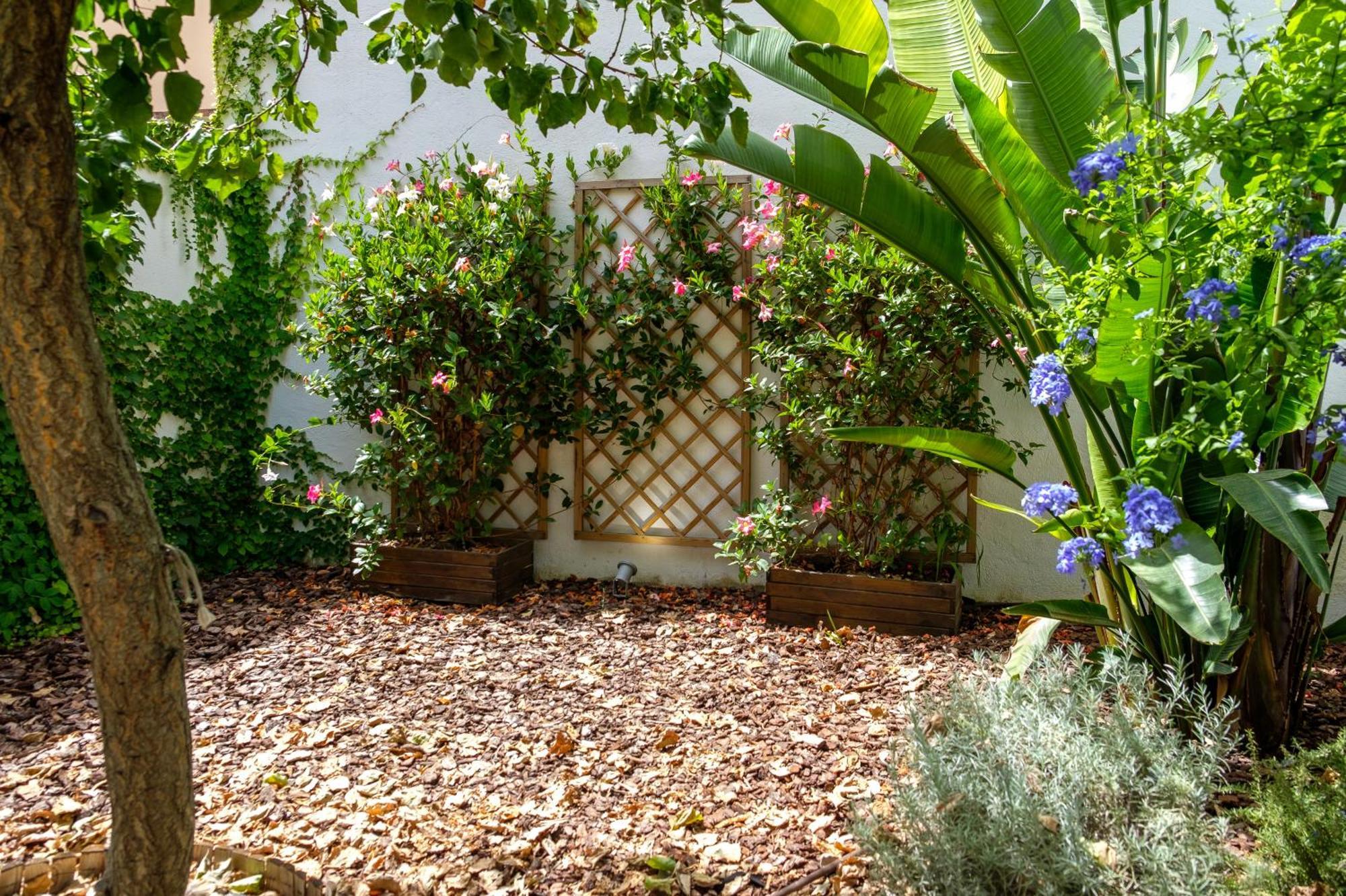 Pretty House Sa Font In Santa Catalina Palma City Εξωτερικό φωτογραφία